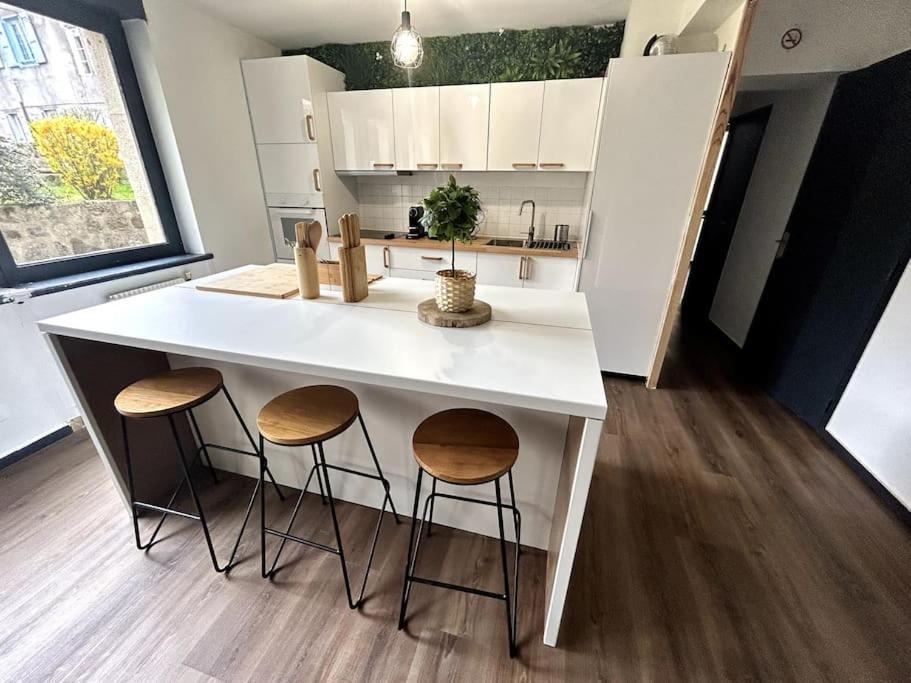 Le Puy En Velay - Appartement Grand Confort Eksteriør billede