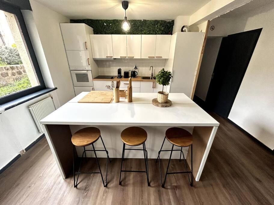 Le Puy En Velay - Appartement Grand Confort Eksteriør billede