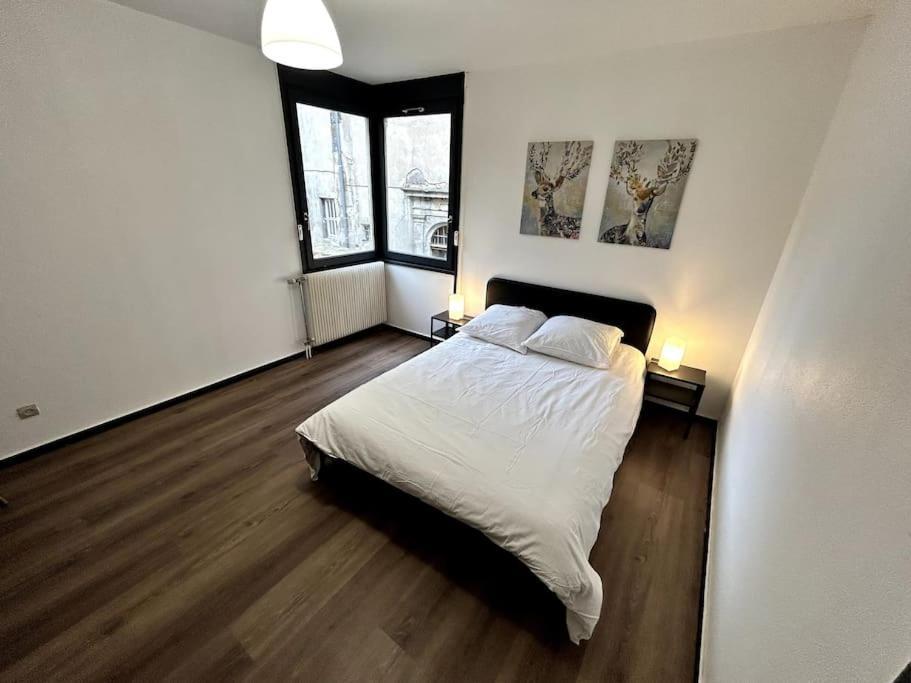 Le Puy En Velay - Appartement Grand Confort Eksteriør billede