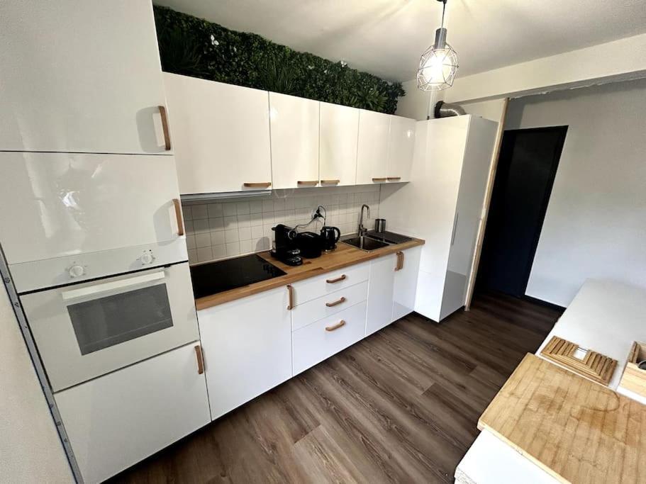 Le Puy En Velay - Appartement Grand Confort Eksteriør billede