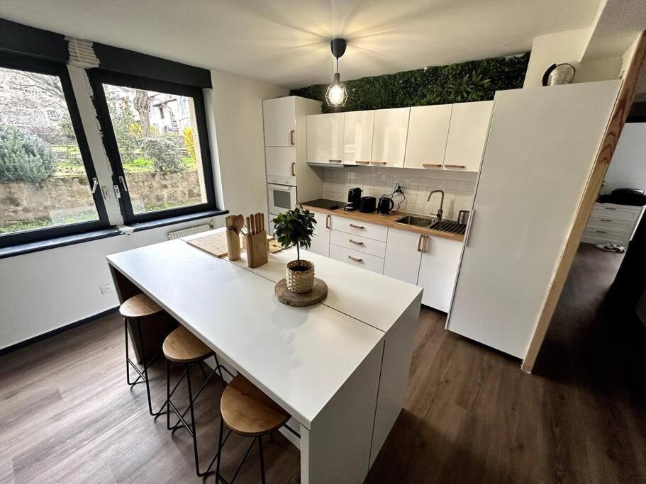 Le Puy En Velay - Appartement Grand Confort Eksteriør billede