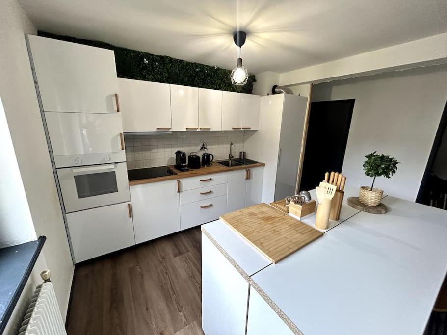 Le Puy En Velay - Appartement Grand Confort Eksteriør billede