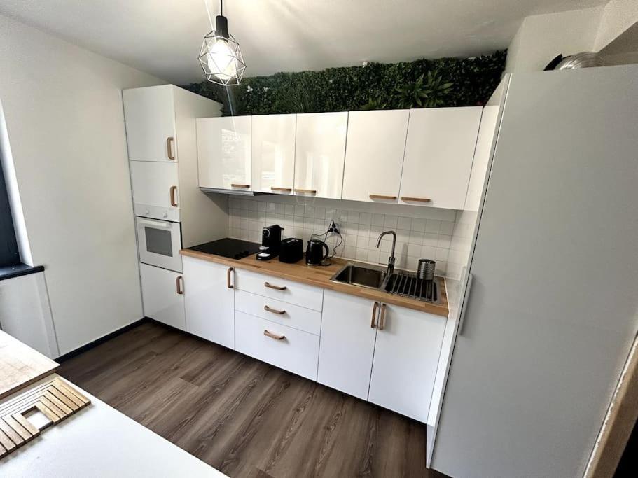 Le Puy En Velay - Appartement Grand Confort Eksteriør billede